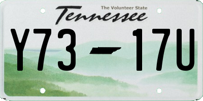 TN license plate Y7317U