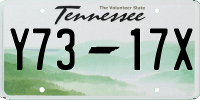 TN license plate Y7317X