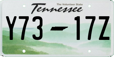 TN license plate Y7317Z