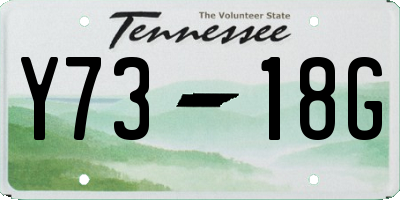 TN license plate Y7318G