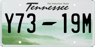 TN license plate Y7319M