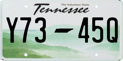 TN license plate Y7345Q