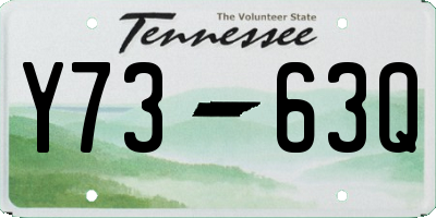 TN license plate Y7363Q