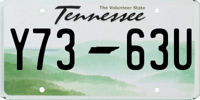 TN license plate Y7363U