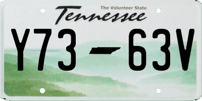 TN license plate Y7363V
