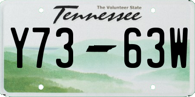 TN license plate Y7363W