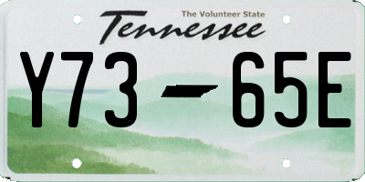 TN license plate Y7365E