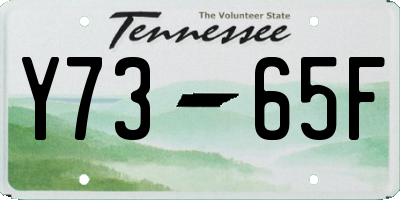 TN license plate Y7365F