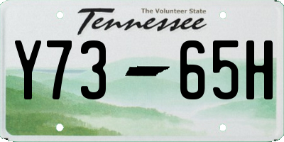 TN license plate Y7365H