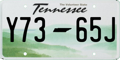 TN license plate Y7365J