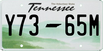 TN license plate Y7365M