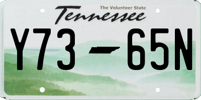 TN license plate Y7365N