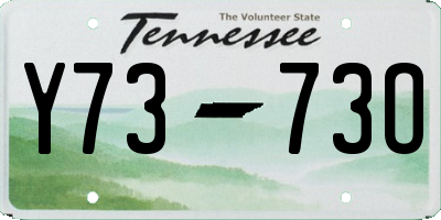 TN license plate Y7373O