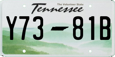TN license plate Y7381B