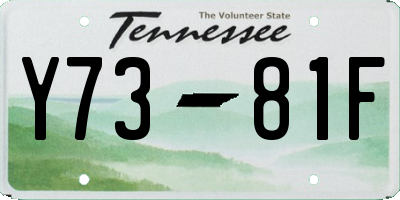 TN license plate Y7381F