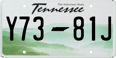 TN license plate Y7381J