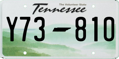TN license plate Y7381O