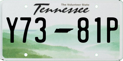 TN license plate Y7381P