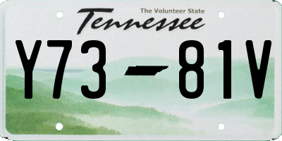 TN license plate Y7381V