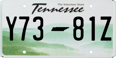 TN license plate Y7381Z