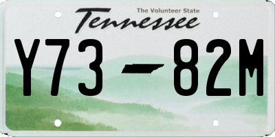 TN license plate Y7382M