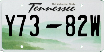 TN license plate Y7382W