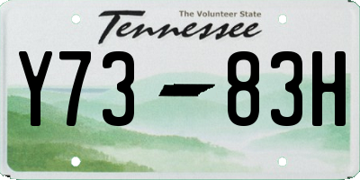 TN license plate Y7383H