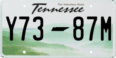 TN license plate Y7387M