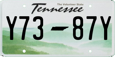 TN license plate Y7387Y