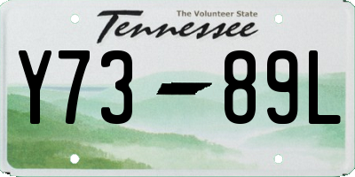 TN license plate Y7389L