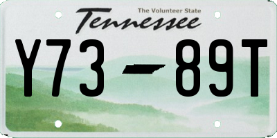 TN license plate Y7389T