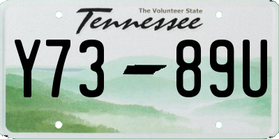 TN license plate Y7389U