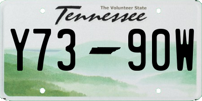 TN license plate Y7390W