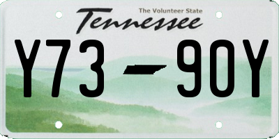 TN license plate Y7390Y