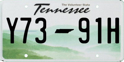 TN license plate Y7391H