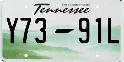 TN license plate Y7391L