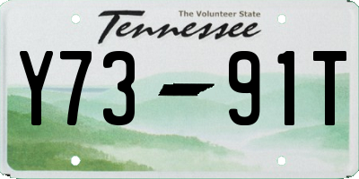 TN license plate Y7391T