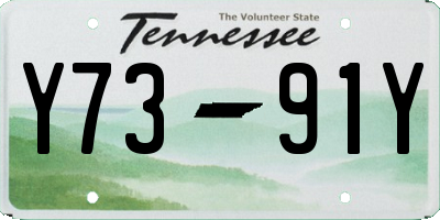 TN license plate Y7391Y