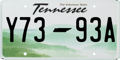 TN license plate Y7393A