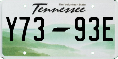 TN license plate Y7393E