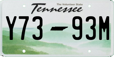 TN license plate Y7393M