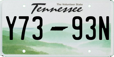 TN license plate Y7393N