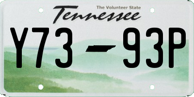 TN license plate Y7393P