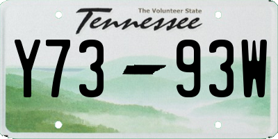 TN license plate Y7393W
