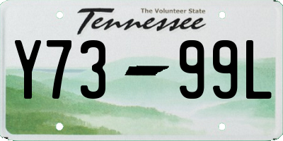 TN license plate Y7399L