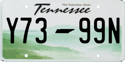 TN license plate Y7399N