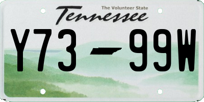 TN license plate Y7399W