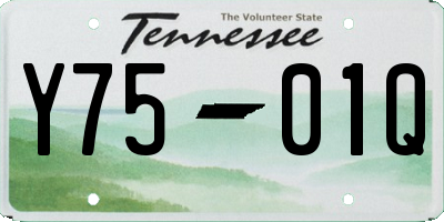 TN license plate Y7501Q