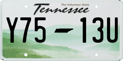 TN license plate Y7513U