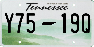 TN license plate Y7519Q